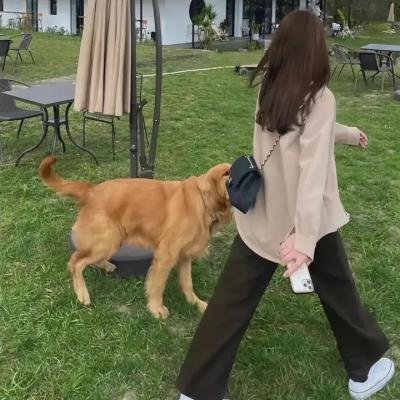 女友礼拜五