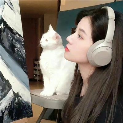 有点意思的院子里院季